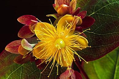 《毁灭战士》系列30周年纪念 官方发布贺图庆祝